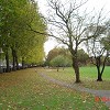 Ashton Park after Autumn