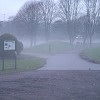 Foggy Horizon at Ashton Park