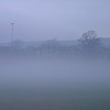 Panoramic Fog in Ashton Park