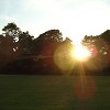 Sunburst at Ashton Park