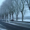 Ashton Road in Winter